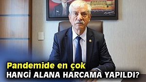 Pandemi sürecinde en çok hangi alana harcama yapıldı?