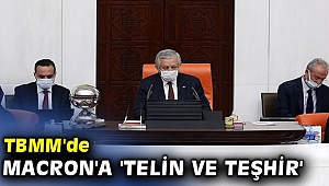 TBMM'den Fransa Cumhurbaşkanı Macron'a 'telin ve teşhir'