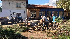 Yağış sonrası Bergama'da çalışma başlatıldı