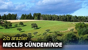 2/b araziler meclis gündeminde