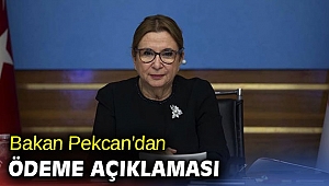 Bakan Pekcan'dan ödeme açıklaması