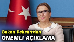 Bakan Pekcan'dan önemli açıklama