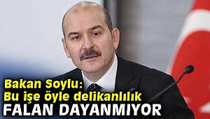 Bakan Soylu: Bu işe öyle delikanlılık falan dayanmıyor