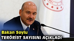 Bakan Soylu terörist sayısını açıkladı