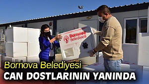 Bornova Belediyesi kış aylarında da can dostlarının yanında