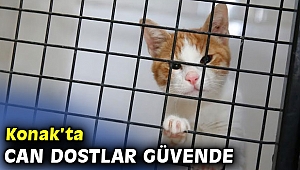 Can dostlar Konak’ta güvende