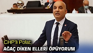 CHP’li Polat, 