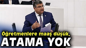 CHP'li vekilden atama ve maaş tepkisi