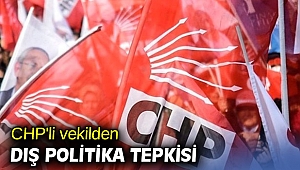 CHP'li vekilden dış politika tepkisi