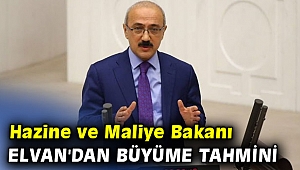 Hazine ve Maliye Bakanı Lütfi Elvan'dan büyüme tahmini