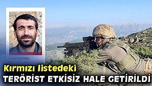 Kırmızı listedeki bir terörist etkisiz hale getirildi