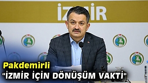 Pakdemirli 