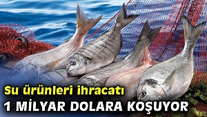 Su ürünleri ihracatının hedefi 1 milyar dolar!