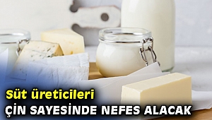 Süt ürünleri sektörü Çin’e 100 milyon dolar ihracat hedefliyor