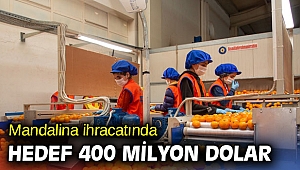 Türkiye, 1 ayda 110 milyon dolarlık mandalina ihraç etti