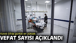 Türkiye'de Kovid-19'da günlük en yüksek vefat sayısı kayıtlara geçti