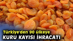 Türkiye'den 90 ülkeye kuru kayısı ihracatı