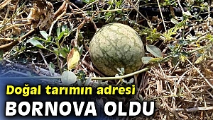 Yakaköy’deki Doğal Tarım Çiftliği büyük ilgi görüyor