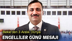 AK Partili vekil 'Dünyaya örnek bir engelli reformu gerçekleştirdik'