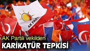 AK Partili vekilden karikatür tepkisi