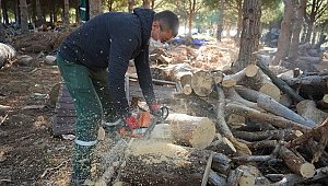 Ayvalık Belediyesi'nden dar gelirli ailelere destek