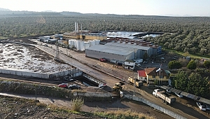 Ayvalık’ta çevre felaketi