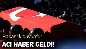 Bakanlık duyurdu! Acı haber geldi!