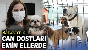 Balçova’nın can dostları emin ellerde