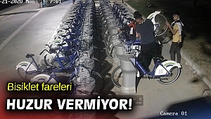 BİSİM demiyorlar zarar veriyorlar!