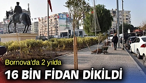 Bornova'da 2 yılda 16 bin fidan dikildi