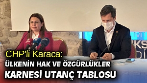 CHP'li Karaca; 'Ülkenin hak ve özgürlükler karnesi utanç tablosudur'