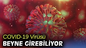 COVID-19 Virüsü Beyne Girebiliyor