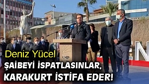 Deniz Yücel, Şaibeyi ispatlasınlar, Karakurt istifa eder!