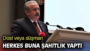 Dost veya düşman herkes buna şahitlik yaptı