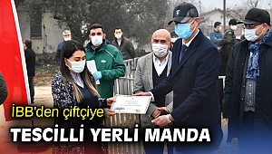 İBB'den çiftçiye tescilli yerli manda