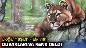İzmir Büyükşehir Belediyesi Doğal Yaşam Parkı'nın duvarlarına renk geldi