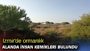 İzmir'de ormanlık alanda insan kemikleri bulundu