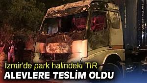 İzmir'de park halindeki TIR alevlere teslim oldu