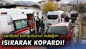Kavgada kulağı ısırılarak koparılan kişi hastaneye kaldırıldı