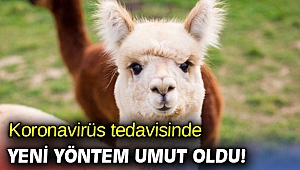 Koronavirüs tedavisinde yeni yöntem umut oldu!