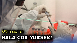 Son 24 saatte 15 bin 805 kişinin testi pozitif çıktı