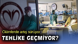 Son 24 saatte 246 kişi daha hayatını kaybetti
