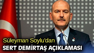 Süleyman Soylu'dan sert Demirtaş açıklaması