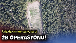 Urla'da kamu görevlileri orman alanlarını satmaya kalktılar