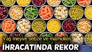Yaş meyve sebze ve mamulleri ihracatında rekor
