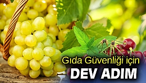 9 üründe pestisit analizleri yapılacak