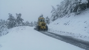 Aydın'da ekipler karla mücadele çalışmalarını sürdürüyor!