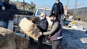 Bergama’da yaban hayvanları için doğaya ot bırakıldı