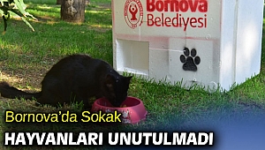 Bornova’da Sokak hayvanları unutulmadı