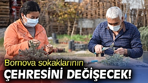 Bornova sokaklarının çehresini değişecek!